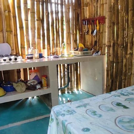 Villas Del Carmen Hostal Palenque Buitenkant foto